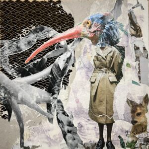 Anni Schedel, Waldrapp