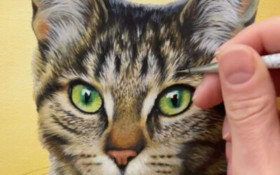 Realistische Acrylmalerei | Fokus Katze mit Zuzana Keller (Di.)